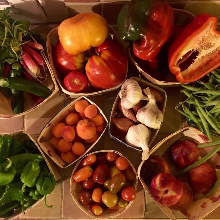 Le Beaucet La Bergerie Pradel Bed & Breakfast エクステリア 写真