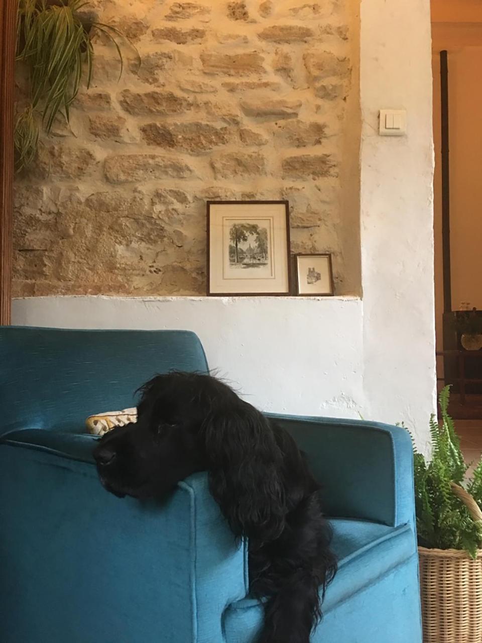 Le Beaucet La Bergerie Pradel Bed & Breakfast エクステリア 写真